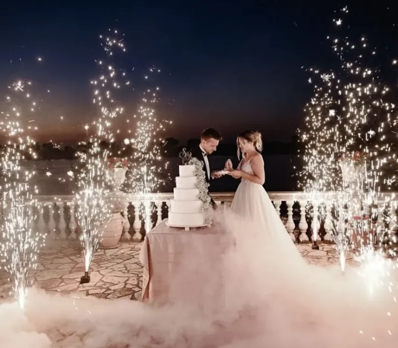 vila jugovo proslava